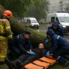 Дерево придавило пенсионера во время непогоды